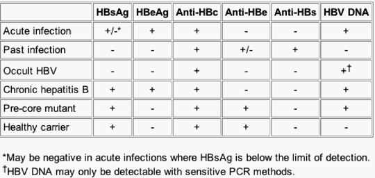 Hepatitis B Serology Interpretation Chart