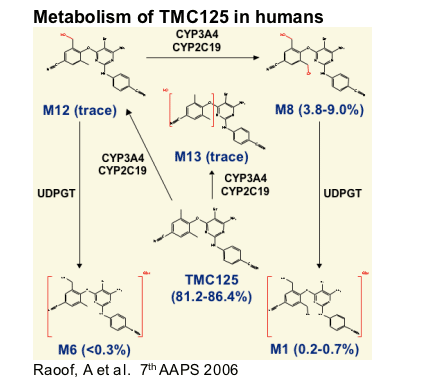 Metabolism-1.gif