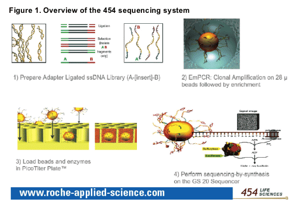sequencing-1.gif