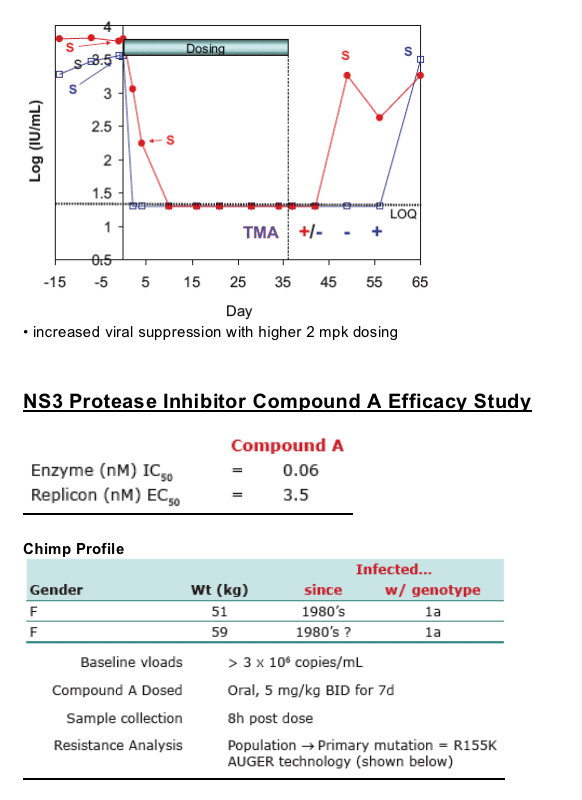 Protease-5.gif