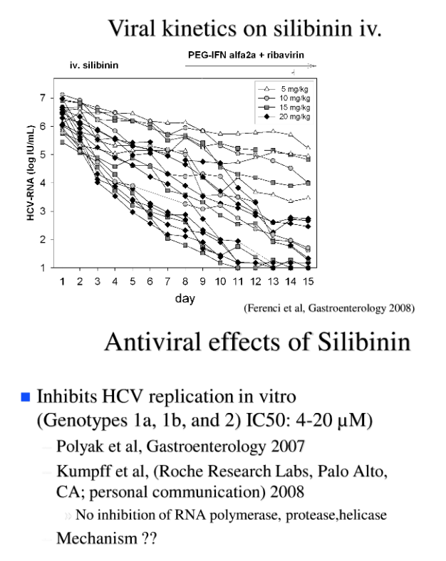 silbinin-2.gif