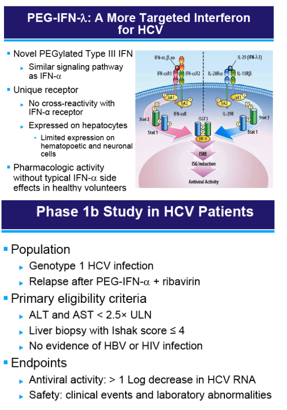 HCV-3.gif