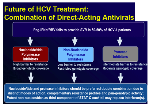 HCV-1.gif