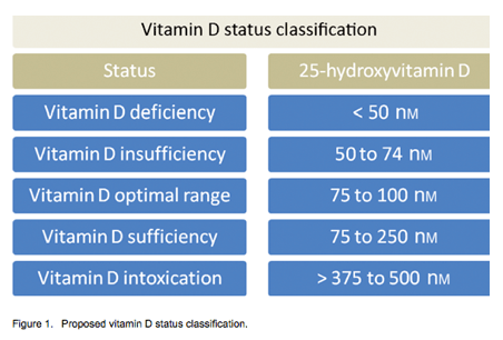 High levels of vitamin D is suspected of increasing mortality rates 
