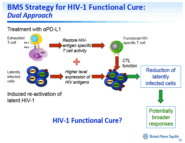 HIV1.gif