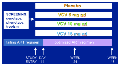 placebo-1.gif