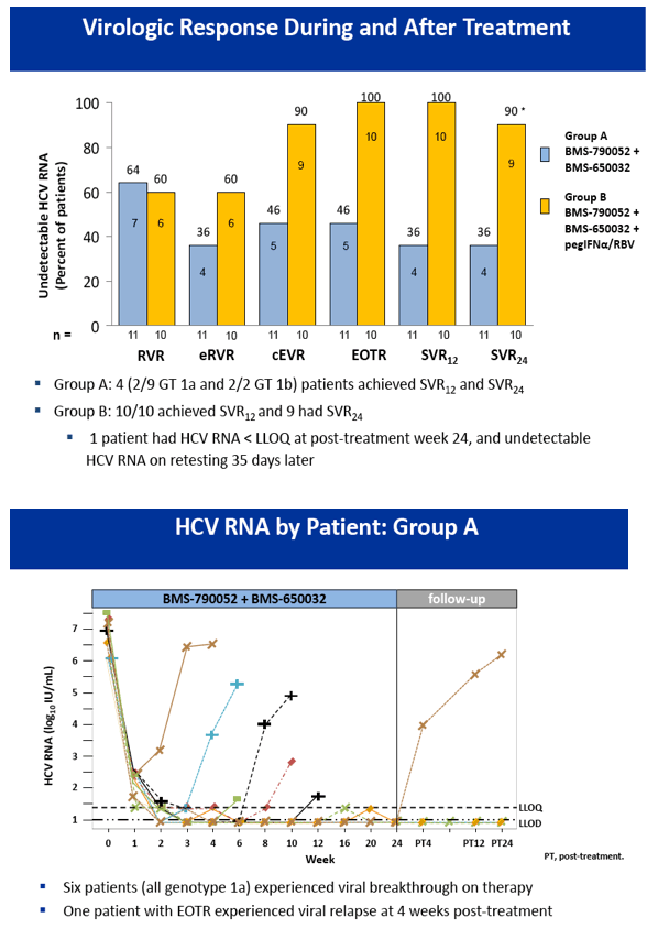 HCV5.gif