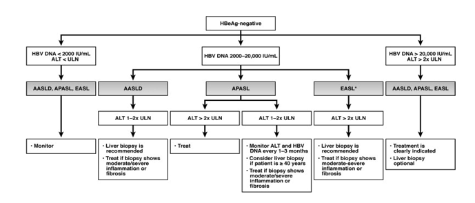 HBV3.gif