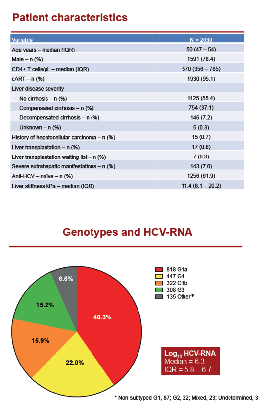 HCV4